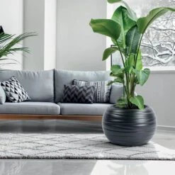 Prosperplast Maceta MAZE 75LCon Depósito 585x385x585 Blanco -Jardinería Equipos Tienda 0b29bdf477dbc40f