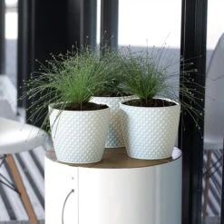 Prosperplast Maceta ORIENT 3,5L 189x189x167 Crema -Jardinería Equipos Tienda 1d15551399a2a6ef