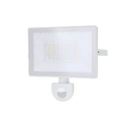 Proyector LED Blanco Lucano 30W