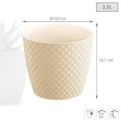 Prosperplast Maceta ORIENT 3,5L 189x189x167 Crema -Jardinería Equipos Tienda 5f724492471e4301