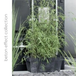 Los más vendidos -Jardinería Equipos Tienda 63853117520335.30392364