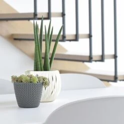 Prosperplast Maceta Redonda 28,2L Maceta Splofy De Plastico Color Menta, Ø39,1 X33 Cm -Jardinería Equipos Tienda 6385387c745b79.18894117