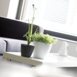 Prosperplast Maceta Redonda 28,2L Maceta Splofy De Plastico Color Menta, Ø39,1 X33 Cm -Jardinería Equipos Tienda 6385387cb07220.59163725