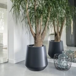 Prosperplast Maceta HEOS 51L., Con Depósito, 439x439x440, Color Antracita 10 Prosperplast Maceta HEOS 51L., Con Depósito, 439x439x440, Color Antracita -Jardinería Equipos Tienda 63853e7ae0be00.44559509