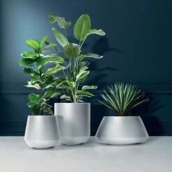 Prosperplast Maceta HEOS 51L., Con Depósito, 439x439x440, Color Antracita 11 Prosperplast Maceta HEOS 51L., Con Depósito, 439x439x440, Color Antracita -Jardinería Equipos Tienda 63853e7b1abc12.36851521