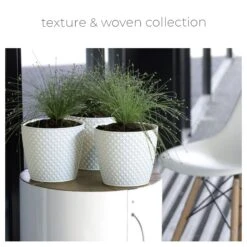 Los más vendidos -Jardinería Equipos Tienda 643e979decd9f8eb