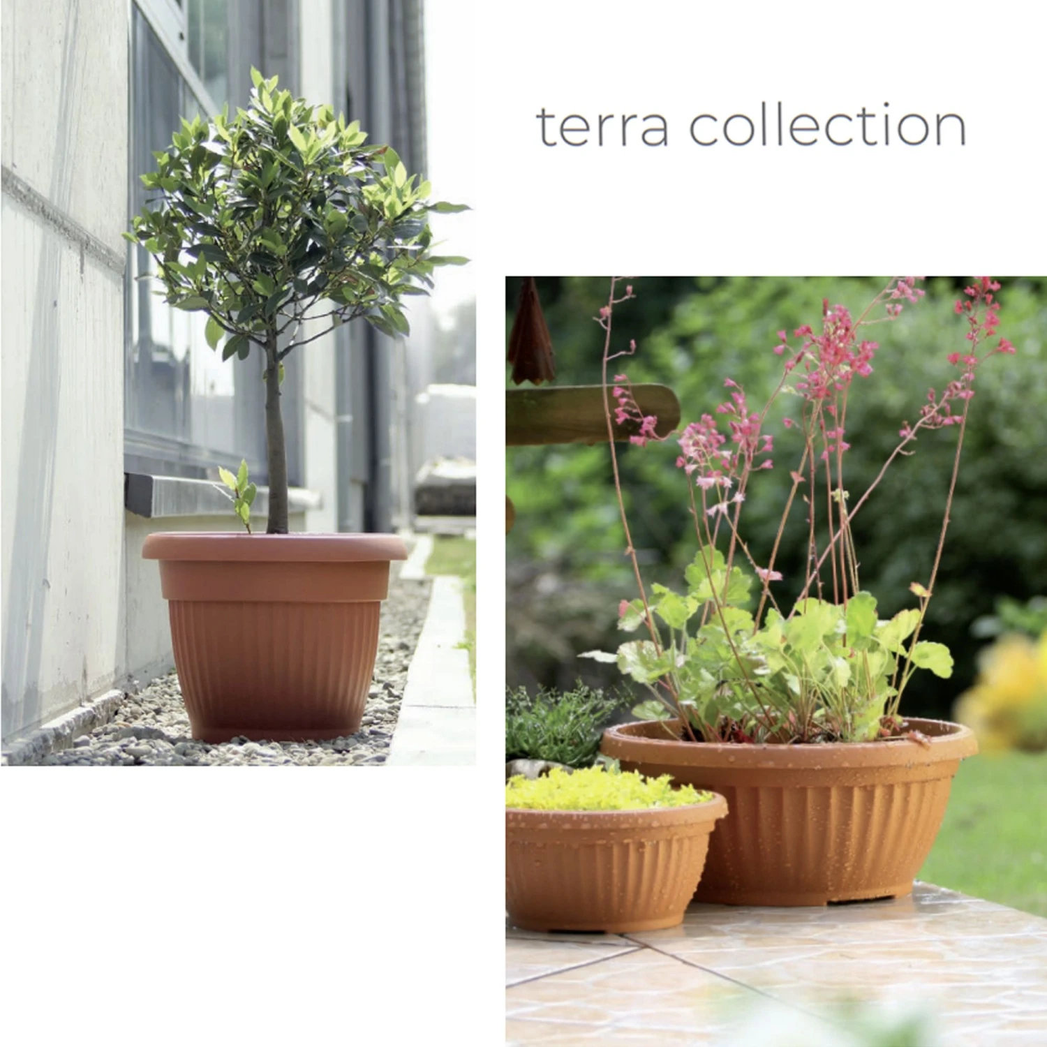 Prosperplast Maceta TERRA 48L 550x550x430 Terracota 2 Prosperplast Maceta TERRA 48L 550x550x430 Terracota - Imagen 2