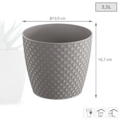 Prosperplast Maceta ORIENT 3,5L 189x189x167 Gris Piedra 6 Prosperplast Maceta ORIENT 3,5L 189x189x167 Gris Piedra -Jardinería Equipos Tienda 6cabc5841a732252