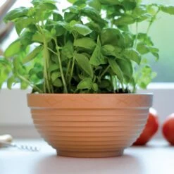 Prosperplast Maceta MISA 38L 650x650x240 Terracota -Jardinería Equipos Tienda 71efa91524a0dc4f