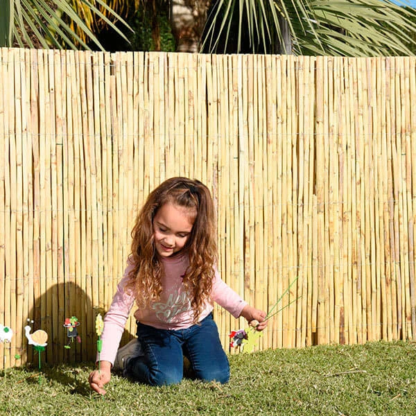 Cañizo Partido 2 X 5 M 3 Cañizo Partido 2 X 5 M - Imagen 3