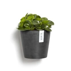 Ecopots Maceta Colgante Amsterdam Wall Dark Grey - ø 20 X H. 17,5 Cm - 4 L 7 Ecopots Maceta Colgante Amsterdam Wall Dark Grey - ø 20 X H. 17,5 Cm - 4 L -Jardinería Equipos Tienda a395960c3aa3f5c5