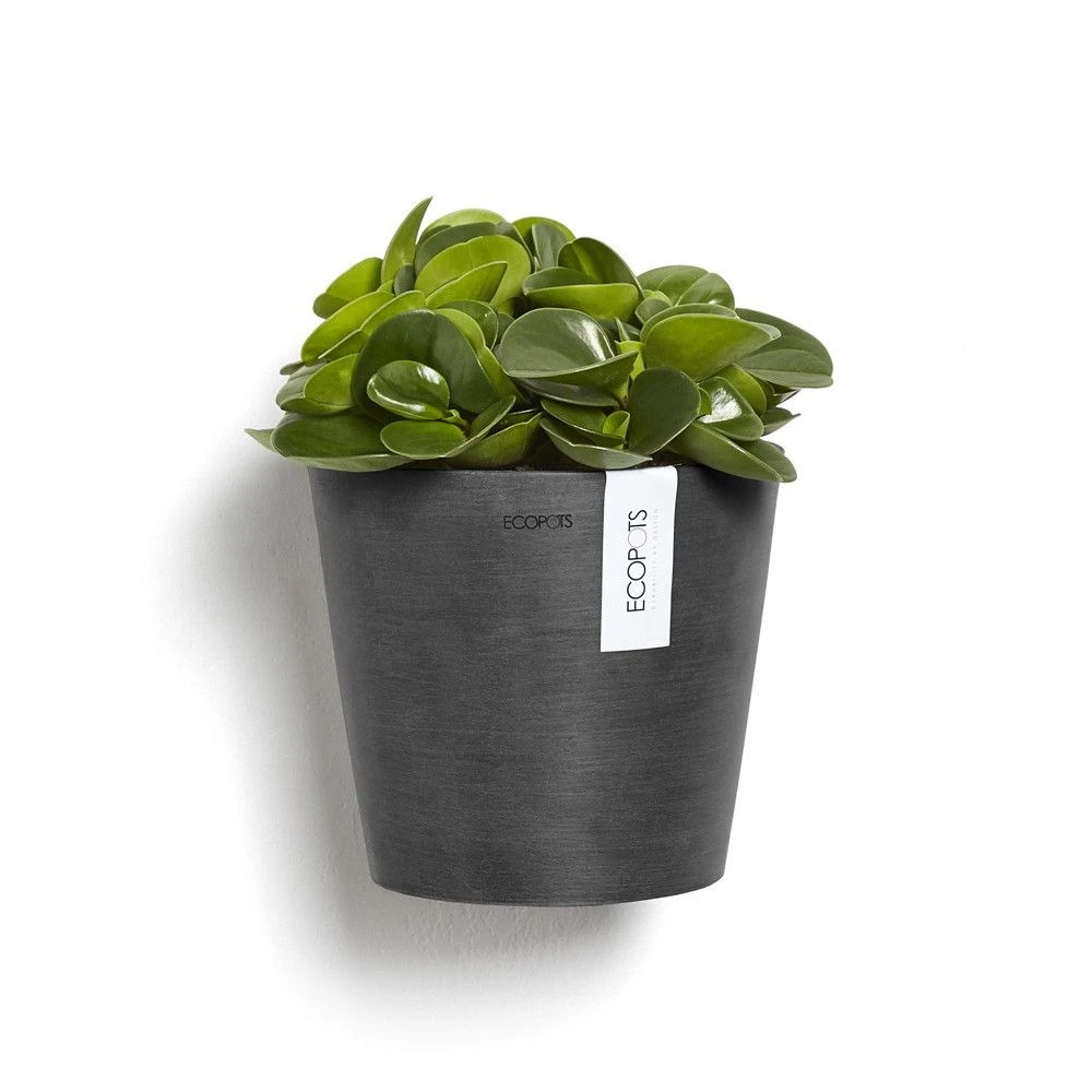 Ecopots Maceta Colgante Amsterdam Wall Dark Grey - ø 20 X H. 17,5 Cm - 4 L 4 Ecopots Maceta Colgante Amsterdam Wall Dark Grey - ø 20 X H. 17,5 Cm - 4 L - Imagen 4