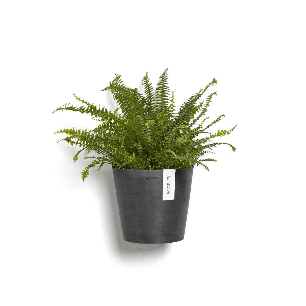 Ecopots Maceta Colgante Amsterdam Wall Dark Grey - ø 20 X H. 17,5 Cm - 4 L 2 Ecopots Maceta Colgante Amsterdam Wall Dark Grey - ø 20 X H. 17,5 Cm - 4 L - Imagen 2
