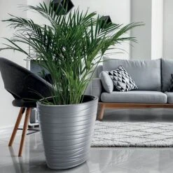 Prosperplast Maceta MAZE 75LCon Depósito 585x385x585 Blanco -Jardinería Equipos Tienda c20343a3aeb56336