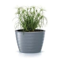 Prosperplast Maceta FREZE - Oval 55LCon Depósito 593x393x420 Gris Claro -Jardinería Equipos Tienda d75474a048044d2b