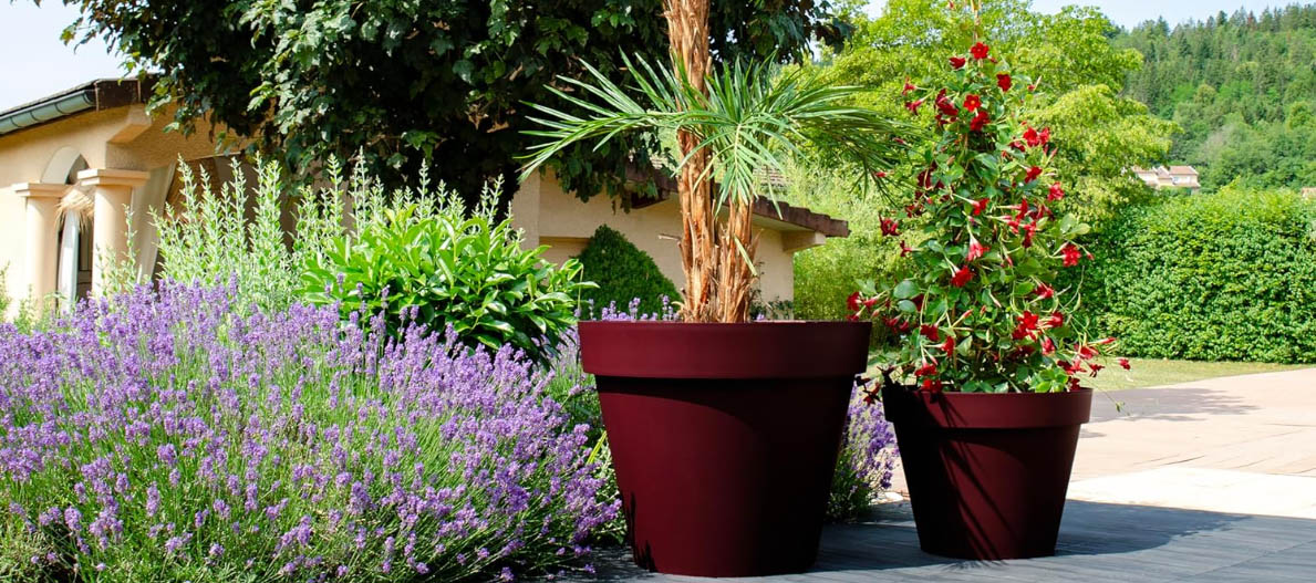 Jardinería Equipos Tienda -Jardinería Equipos Tienda dfgdg