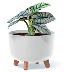 Prosperplast Macetero Vertierra GRACIA 29cm X29cm X22cm Cm 9,8 L -Jardinería Equipos Tienda e95afdbb1af6e8dc