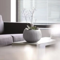 Prosperplast Breton Bowl Con Deposito 6 Prosperplast Breton Bowl Con Deposito -Jardinería Equipos Tienda fb5ef355de36dfed