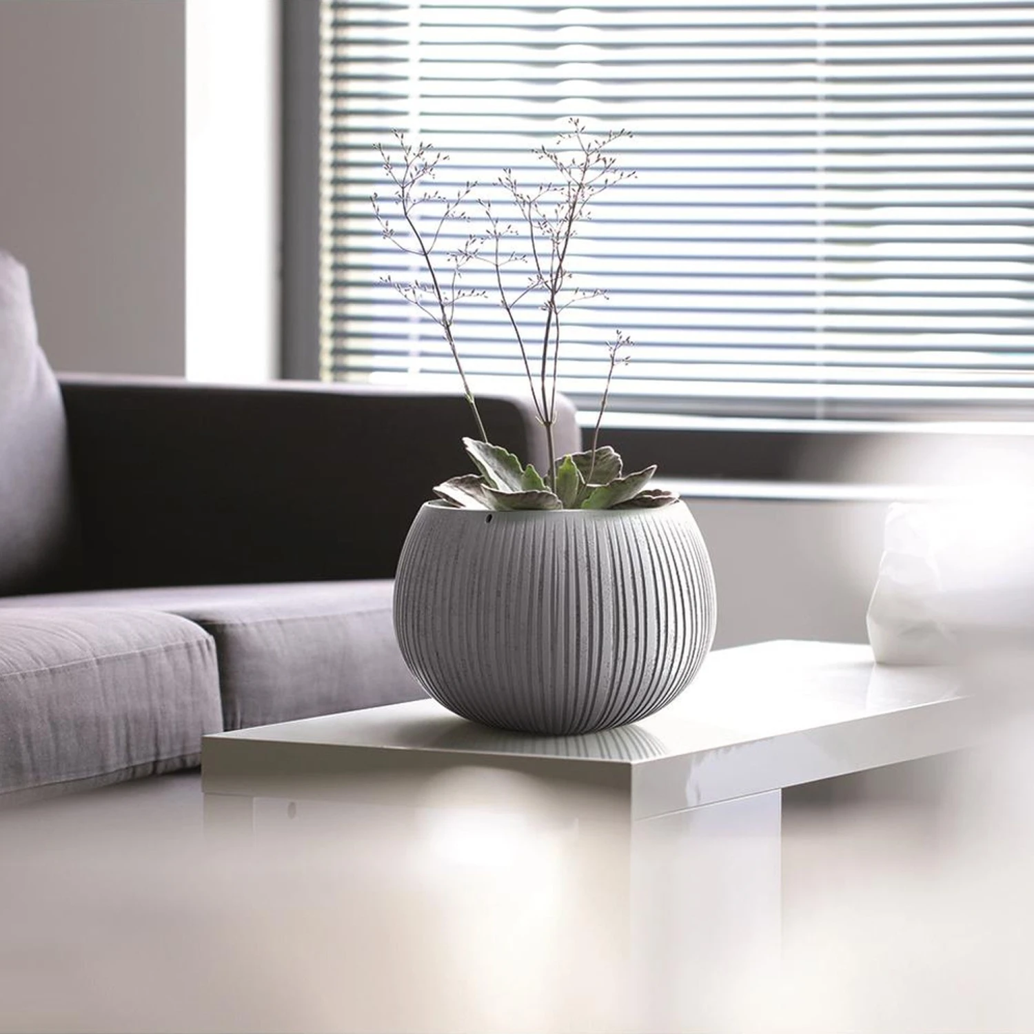 Prosperplast Breton Bowl Con Deposito 3 Prosperplast Breton Bowl Con Deposito - Imagen 3