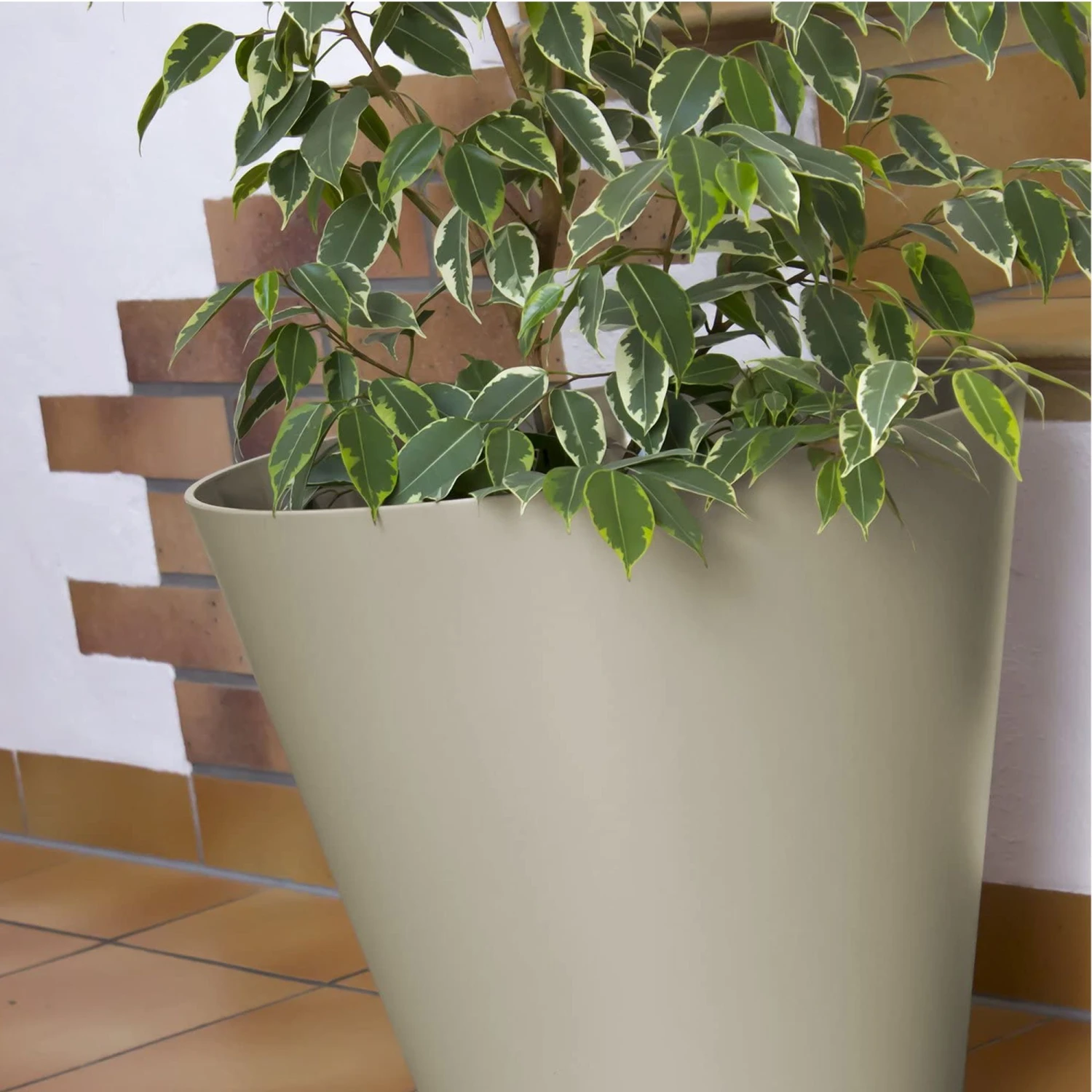 Prosperplast Maceta TUBUS 12L 300x300x280 Mocca 6 Prosperplast Maceta TUBUS 12L 300x300x280 Mocca - Imagen 6